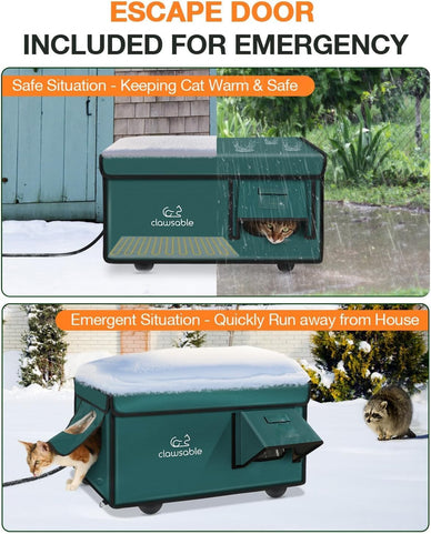 "Ensure Your Cats Thrive This Winter's Chill!"